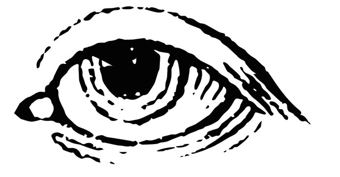 Ojo