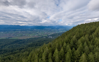 Obraz premium Aerial View of Fraser Valley Farmland and Evergreen Forests With Mountains Under Cloudy Sky
