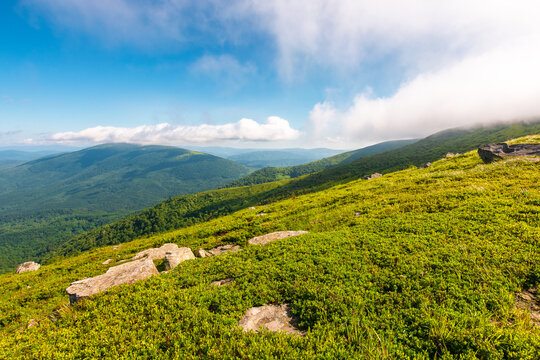 nature scenery with mountain under summer sky. alpine landscape of carpathian mountain with grassy slopes. low fluffy clouds on high altitude. summer vacations