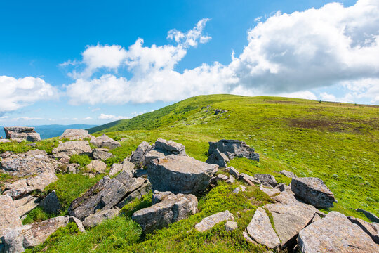 carpathian mountain landscape in summer. amazing background for outdoor adventure. transcarpathia green hill with rocks. sunny day with blue sky