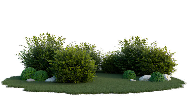 Small green garden bush with stones on grassy lawn landscape landscaping isolated decoration backyard botanical shrubbery