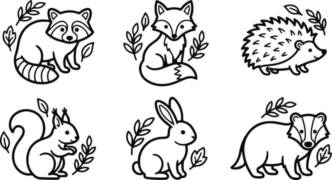 Woodland animals outline vector set for coloring book with fox, raccoon, hedgehog, and rabbit