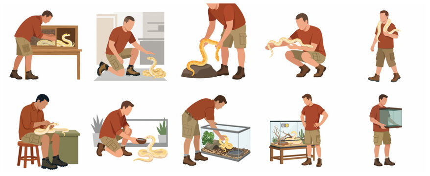 Collection of flat illustrations of a man caring for his pet yellow python including feeding and terrarium cleaning
