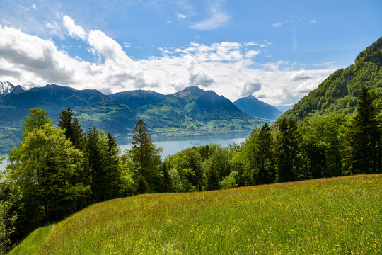 Spring meadow path high above a turquoise lake