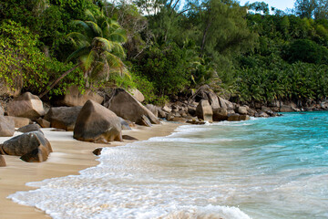 Turquoise ocean waves wash onto a quiet palm-fringed shore with large granite rocks, ideal for travel and nature themes. © Andrei Tomas