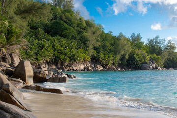 Naklejka premium Turquoise ocean waves wash a sandy shore beneath lush green forest and rocky granite coastline on a sunny day.
