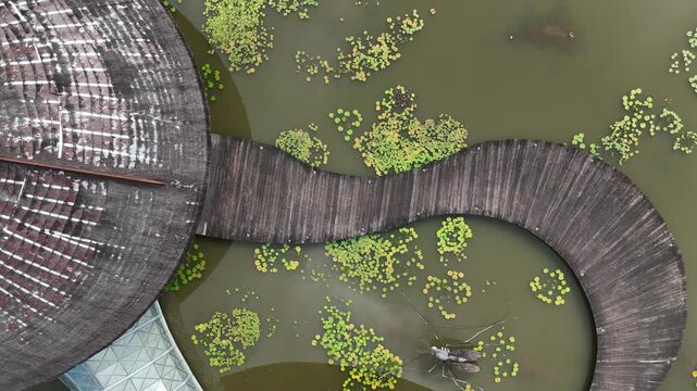 Aerial view of unique architectural structure in Utinga State Park, Amazon rainforest, Bel&eacute;m, Brazil