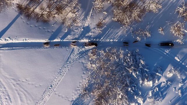 Aerial view of dog sledding teams traveling through snowy forest, Norway