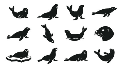 Seals in Various Poses and Activities Depicted as Black Silhouettes Featuring Seal, Silhouette, Animal with Marine and Wildlife © MdRiaj