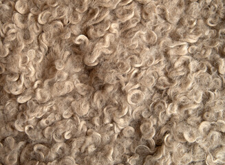 Close up detail of natural beige curly sheep wool fleece © isabela66