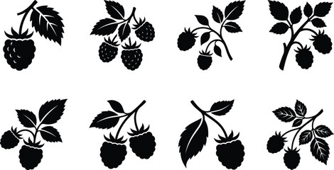 Obraz premium Wild Raspberry Silhouette Icon Set, Berry Stem Vector Elements Isolated on White