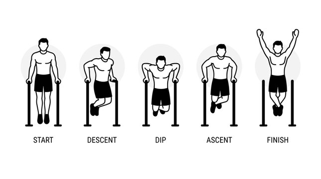 Steps for performing proper parallel bar dip exercise