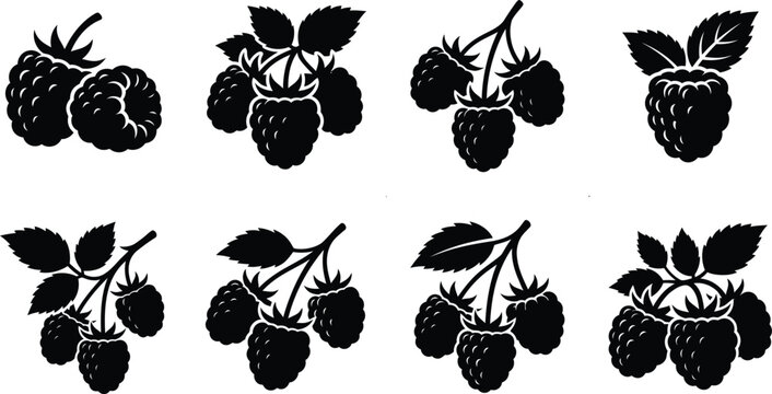 Ripe Raspberry Cluster Silhouette Set, Fruit Branch Vectors on White Background
