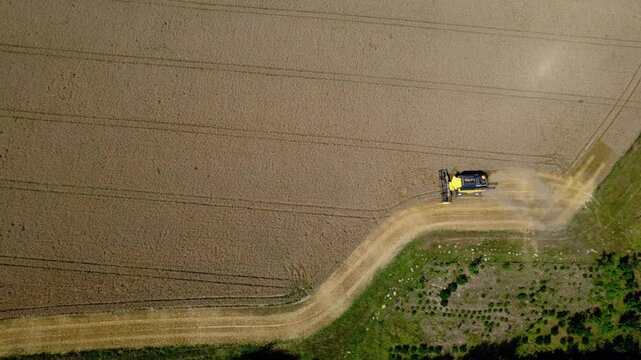 High top down aerial view of a combine harvester and the pattern of lines in a wheat field
