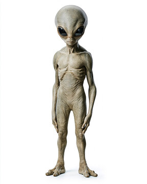 Classic Grey Alien Full Body Isolated