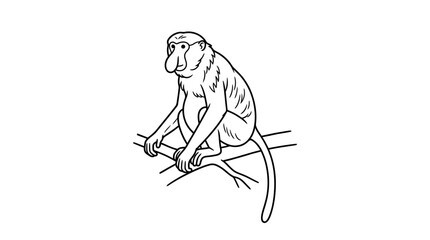 Proboscis monkey on branch line art illustration. © budirah