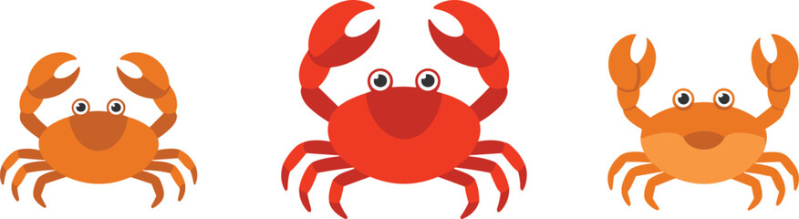 Crab character flat vector illustration. Three cute cartoon orange and red marine crabs are standing with friendly big eyes and sharp pincers. © HELEN QUEEN
