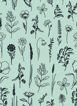 Hand drawn botanical elements seamless repeat pattern. Doodled greens like flowers with leaves, herbs, meadow aop, all over surface print on mint green background.