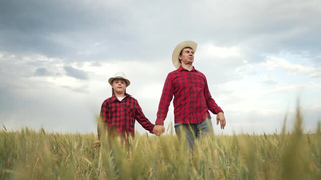 Father and daughter wheat field. Family holds hands while walking in field. Matching red plaid shirts straw hats. Happy family bonding in nature. Father daughter hold hands. Family connected in field.
