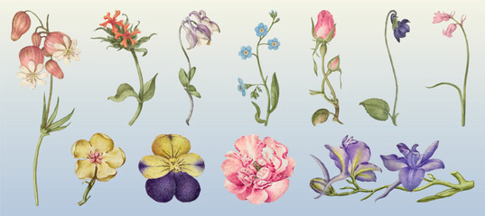 Obraz premium Vector of various colorful flowers on a gradient background.