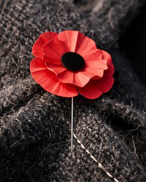 A detailed close-up of a double-layered red paper poppy pin fastened onto a dark grey textured knitted wool sweater for Remembrance Day.