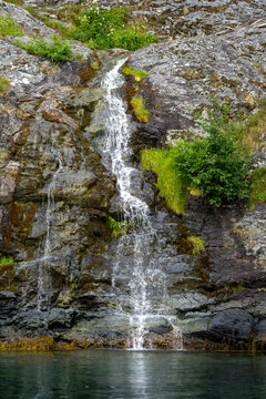 Waterfall trickling over a wet rocky cliff beside a green shrub