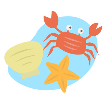 夏、海、カニ、貝殻、ヒトデ