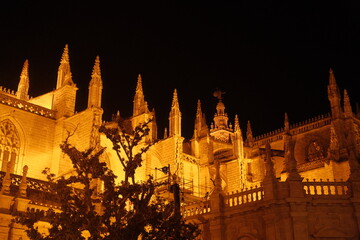 Fototapeta premium Seville castle cathedral building lit up at night