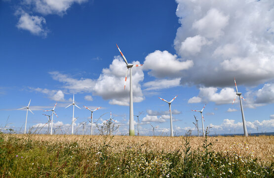Gro&szlig;er Windpark inmitten eines reifen, goldenen Getreidefeldes