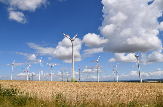 Gro&szlig;er Windpark inmitten eines reifen, goldenen Getreidefeldes