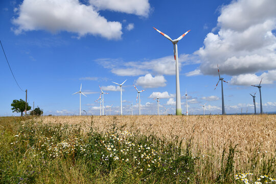 Gro&szlig;er Windpark inmitten eines reifen, goldenen Getreidefeldes