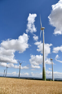 Gro&szlig;er Windpark inmitten eines reifen, goldenen Getreidefeldes