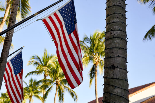 Low angle view of American flags fluttering beneath tall palm trees and clear sky