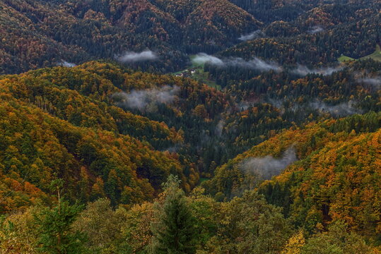 Mixed forest in autumn colors dotted with fog wisps, seen south from the Jamnik or St.Primus and Felician hilltop church. Zgornja Besnica-Slovenia-170