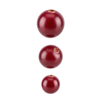 Three plump organic cranberries floating in a vertical row against a transparent studio backdrop with glossy red skin and natural textures, fresh produce vibe