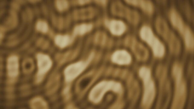 Abstract wave interference moire fringe ripple background seamless loop in deep amber tones