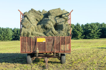 A full hay wagon from the front in a field. © Margaret Burlingham