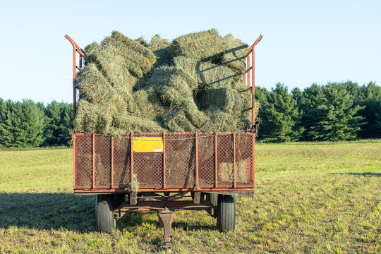 A full hay wagon from the front in a field.