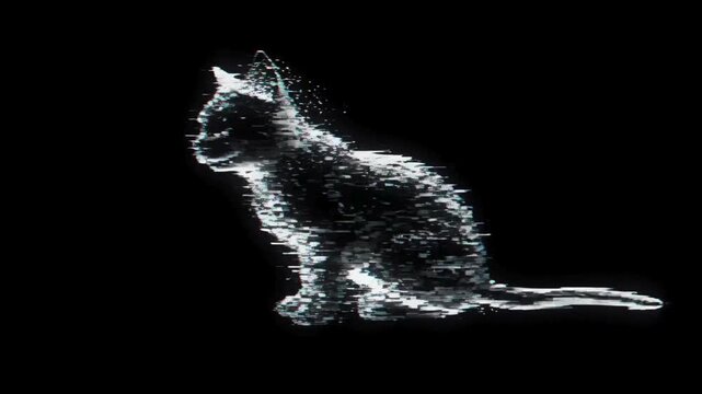 glitch depicts a kitten in black background.