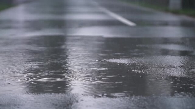 雨で濡れた舗装路の水たまりに雨粒が落ちて波紋が横へ広がり鈍い光と路面の凹凸を映す