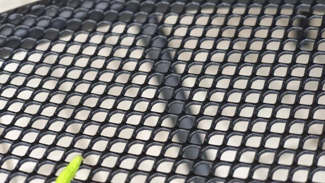 Small green caterpillar crawls across black mesh surface. Caterpillar moves deliberately over repeating oval openings. Mesh grid contrasts sharply with insect's vivid color