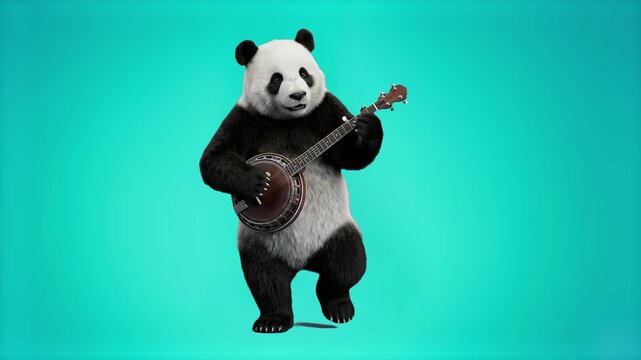 A detailed 3D animated model of a cute giant panda bear playing a banjo musical instrument while dancing, set against a bright turquoise studio backdrop. Ideal for music videos, fun wildlife content, 