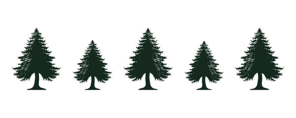 Obraz premium spruce logo design,vector,symbol,icon,silhouette,pine,wood,vintage,wood,evergreen,icon,symbol,silhouette,outdoor,plant,illustration,branch,landscape,park,spruce,graphic,black