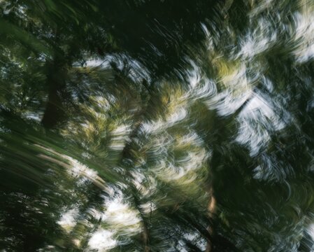 Blurred foliage in cinematic realism