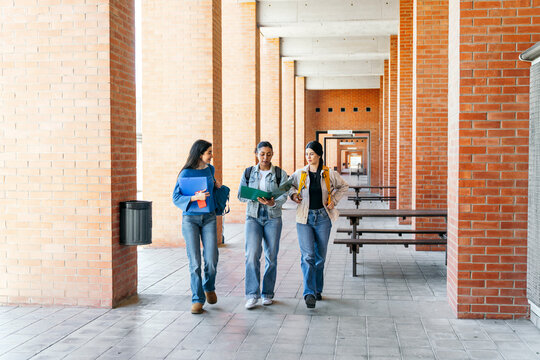 University students discussing notes in campus walkway