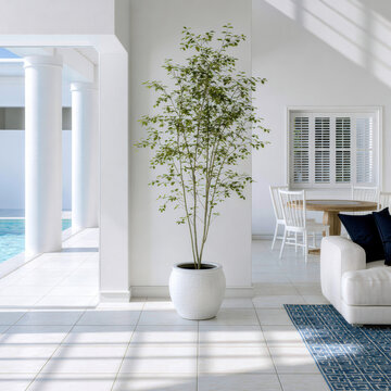 Minimalist sunlit coastal room with potted plant, white walls, blue rug, modern furniture, and pool view, creating serene atmosphere