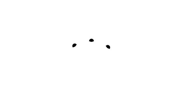 Black Particle Explosion Loop Animation on White Background