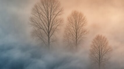 Obraz premium Ethereal misty trees landscape desktop wallpaper