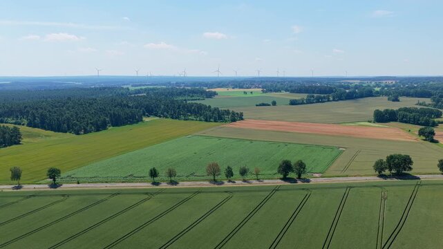 Crop plantation at farm. Agriculture and cultivation. Aerial top view on green crop field. Nature environment. Green harvest in field. Summer green field. Agricultural aerial landscape