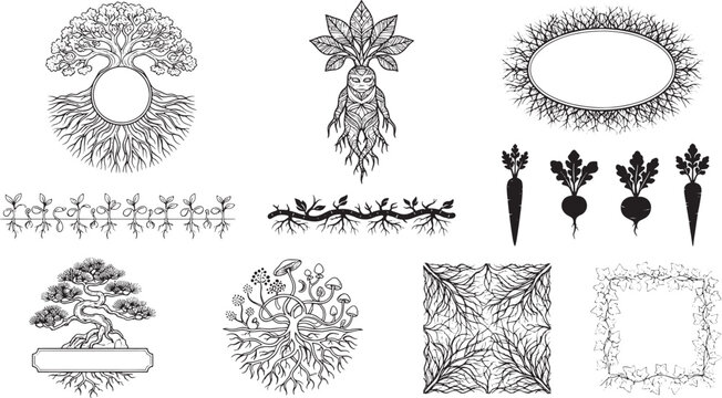 Detailed line-art collection featuring mythical mandrake roots, bonsai trees, root vegetables, and decorative frames on white background